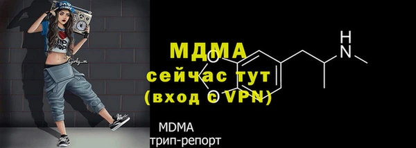 мдпв Верея