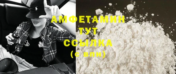 мдпв Верея