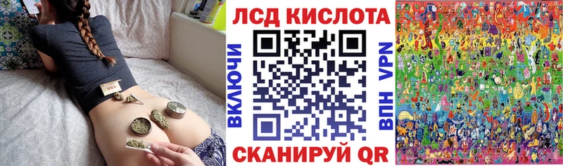 где найти   Новоржев  Марки NBOMe 1,5мг 