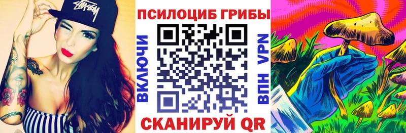 Галлюциногенные грибы Psilocybe  продажа наркотиков  Новоржев 