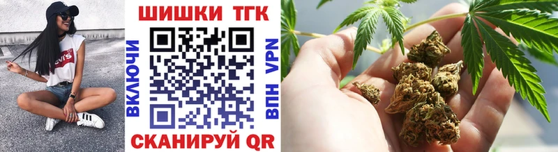 Каннабис OG Kush  Новоржев 